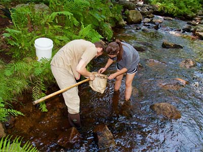 Lorenzo Natalie and Jen Ferlenda searching for macro invertebrates