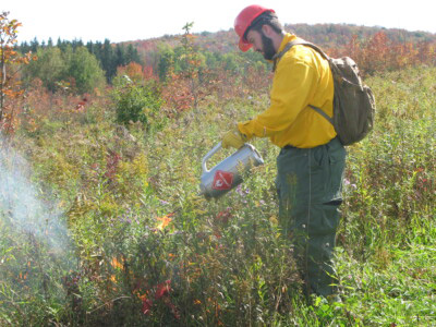 Student starting fire