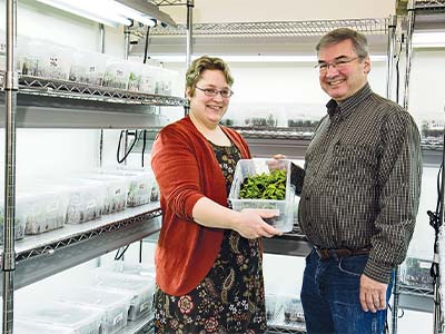 Allison Oakes and William Powell in Chestnut lab