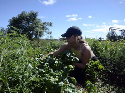 Lindsay Eberhart working in a garden