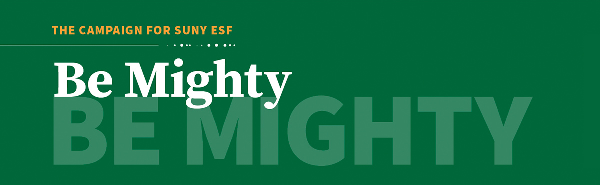Be Mighty in stylized text in white set on dark green background