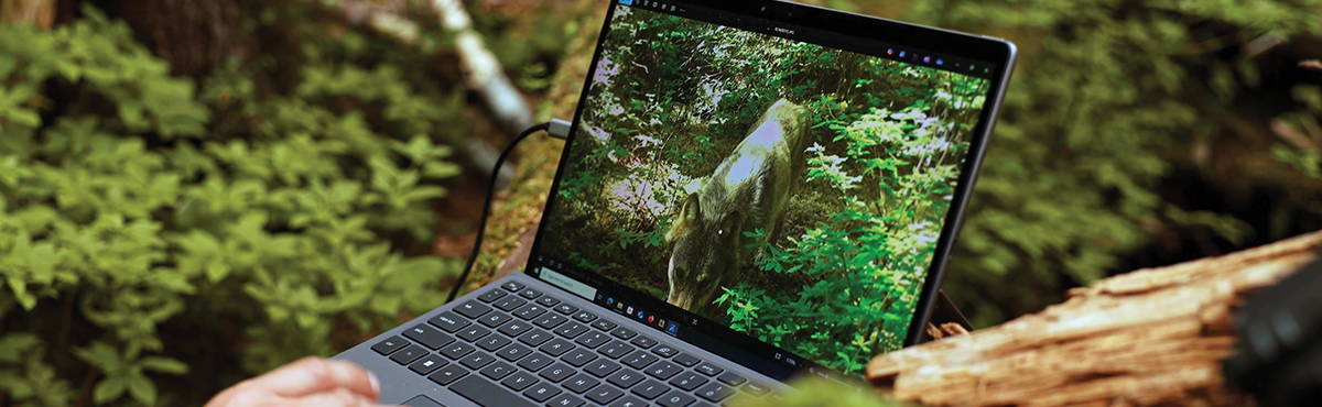 computer in the forest set on a log