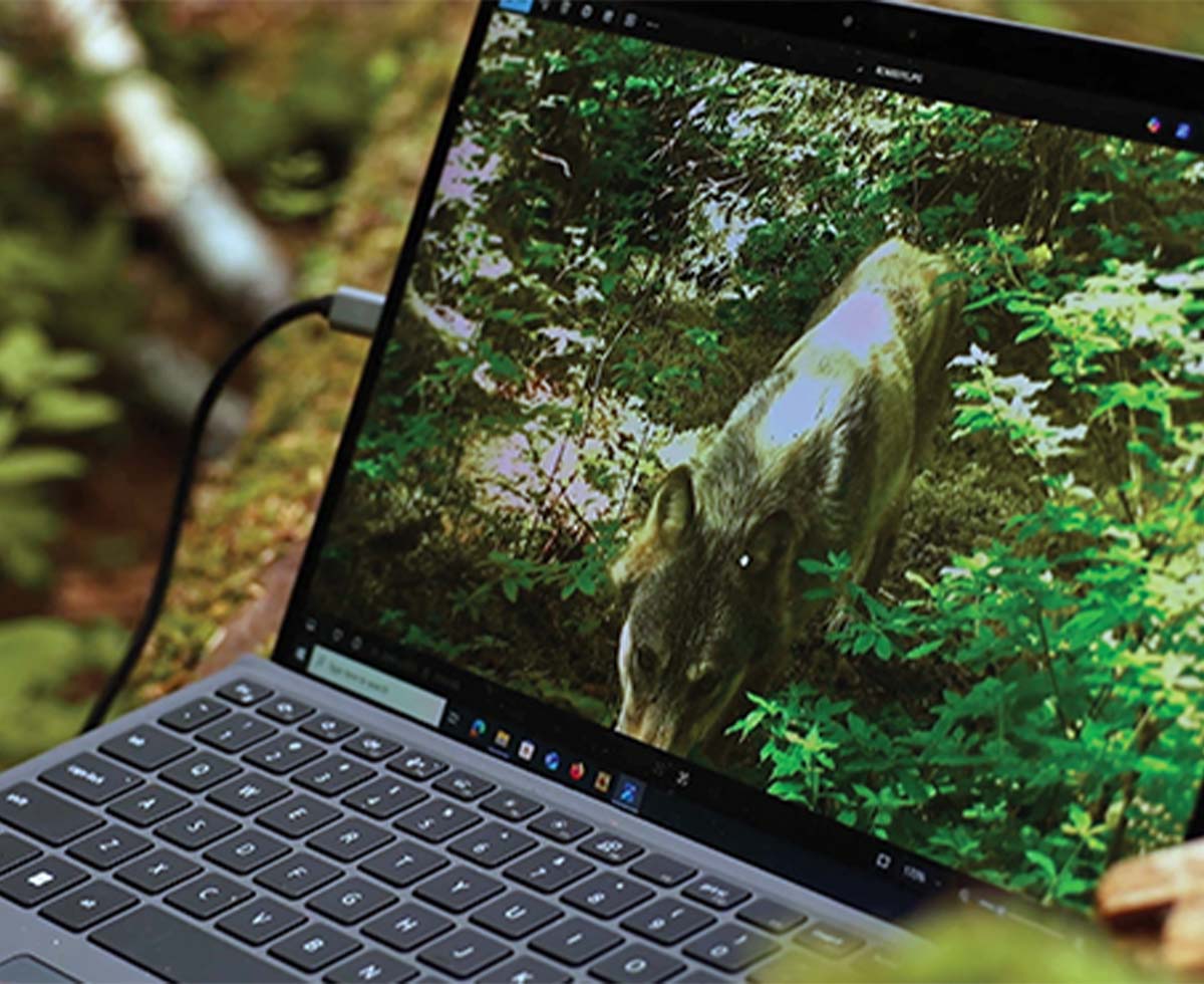 computer in the forest set on a log