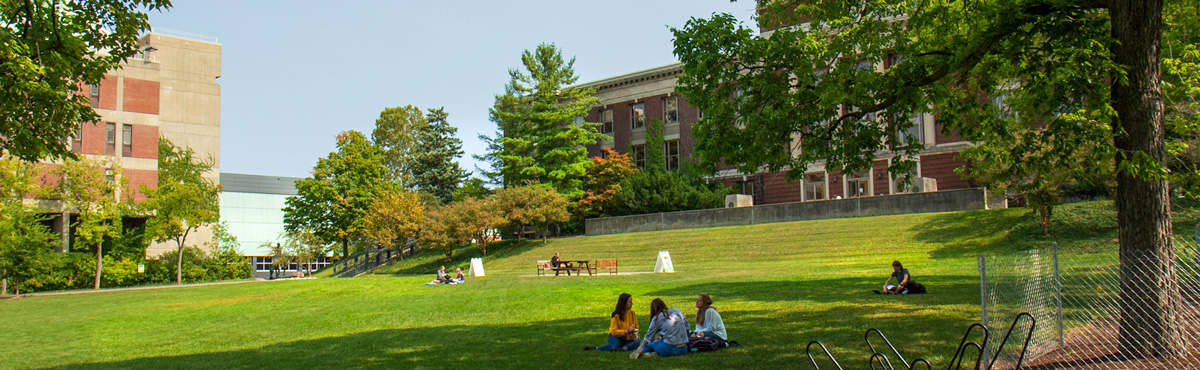 Students in the Quad