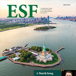 cover featuring ellis island from above