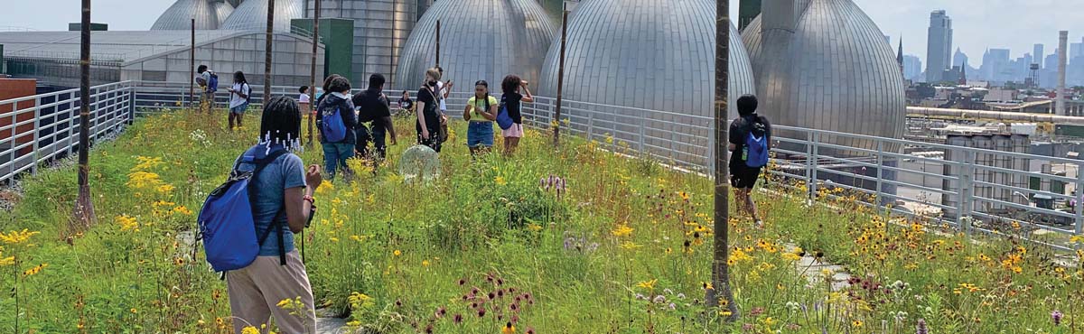 Timbuctoo participants in a roof garden