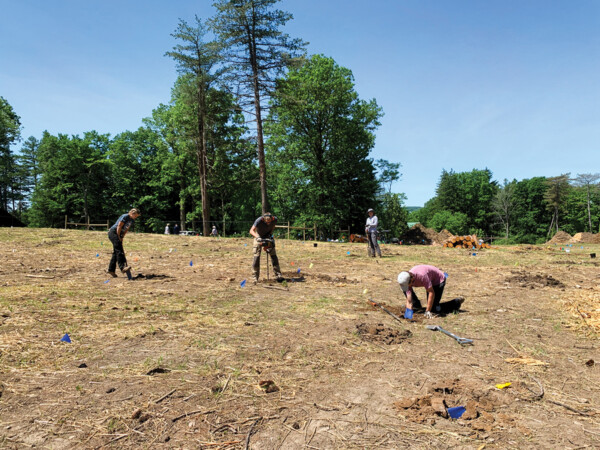 This spring, volunteers helped plant American chestnut seedlings at the Lafayette Road Experiment Station.