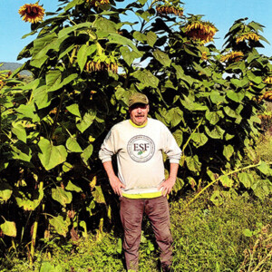 Randall C. Kelly standing in front of big sunflower plants