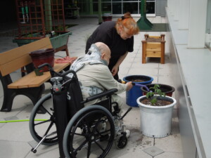 Dr. Lee Newman showing a veteran in wheelchair how to plant seedlings.