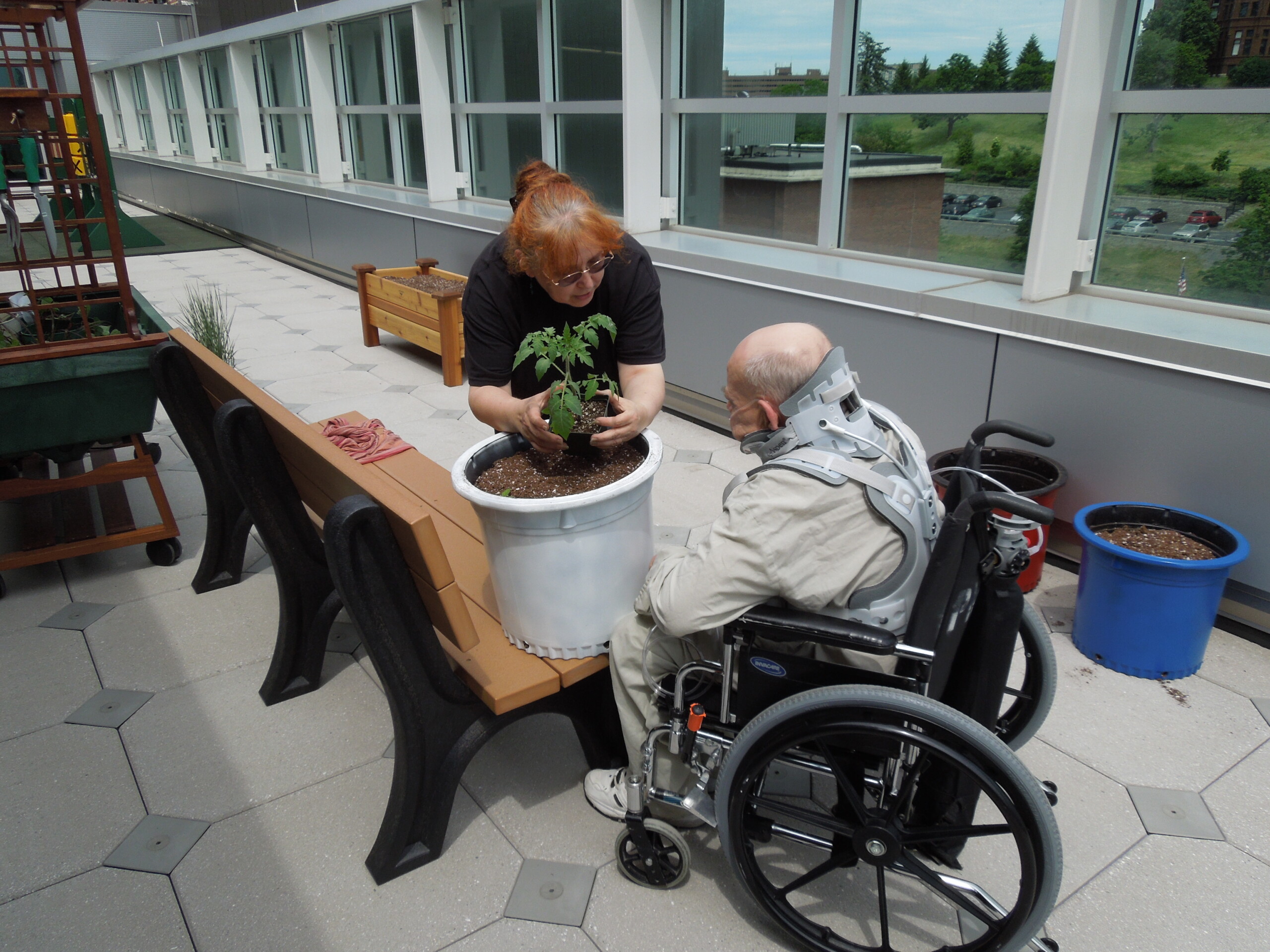 Dr. Lee Newman with a veteral in a wheelchair. She is showing him how to plant a tomato plant.