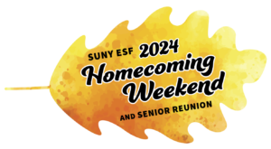 A yellow maple leaf with the message for homecoming. SUNY ESF 2024 Homecoming Weekend and Senior Reunion